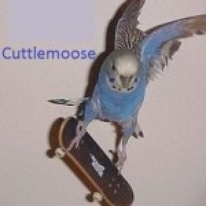 Cuttlemoose