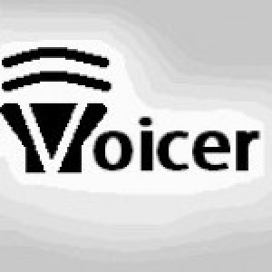 Voicer