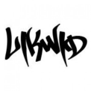 DJLikwid2013