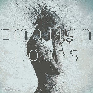 EmotionLoops