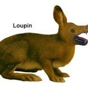 Loupin