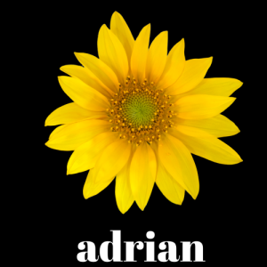 musicadrian