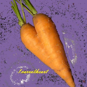 1carrotheart