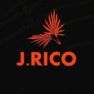 jRicoSamples