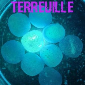 terreuille