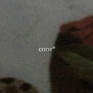 prodbycone