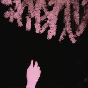 nightswimjim