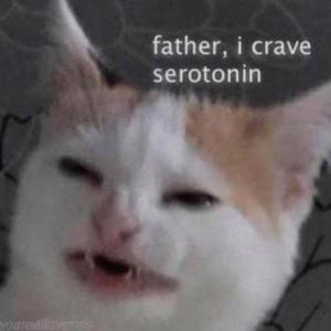 FatherSerotonin