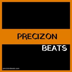 PreciZionMC1