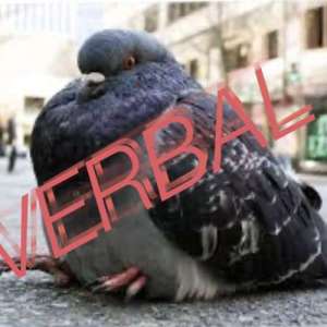 Verballyverbal