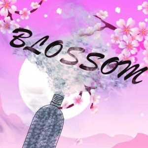 BlossomG