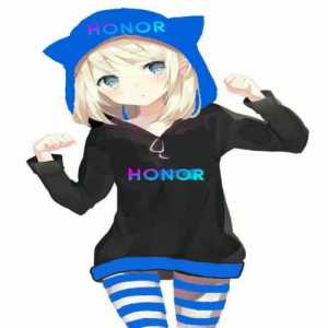 Honor20s