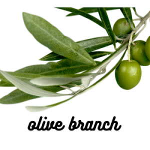 olivebranch2010