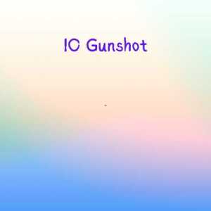 iogunshot13