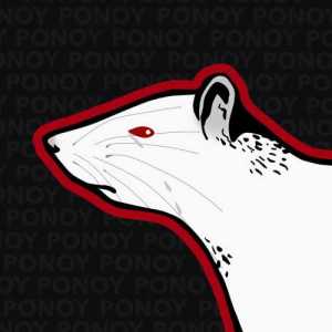 PONOY