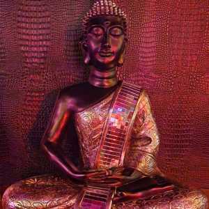 DISCOBUDDHA