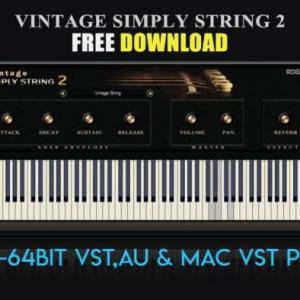 Vintage Simply String 2 by RDG Audio