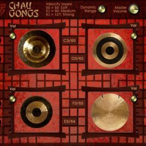 Chau Gongs by Alam Vista Instruments