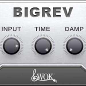 BigRev by WokWave