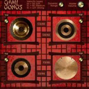 Chau Gongs by Alan Vista