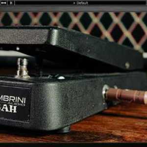 Audio Wah by Nembrini Audio